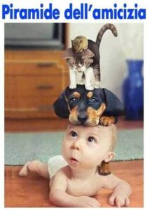 WhatsApp Image 2021-10-06 at 10.33.42 (6)