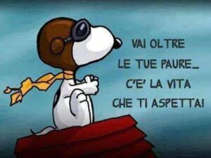 WhatsApp Image 2021-10-06 at 10.33.43 (1)