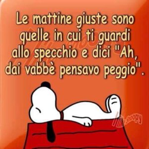 WhatsApp Image 2021-10-06 at 10.33.44