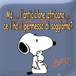 WhatsApp Image 2021-10-06 at 10.33.45 (4)