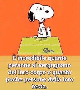 WhatsApp Image 2021-10-11 at 10.07.21