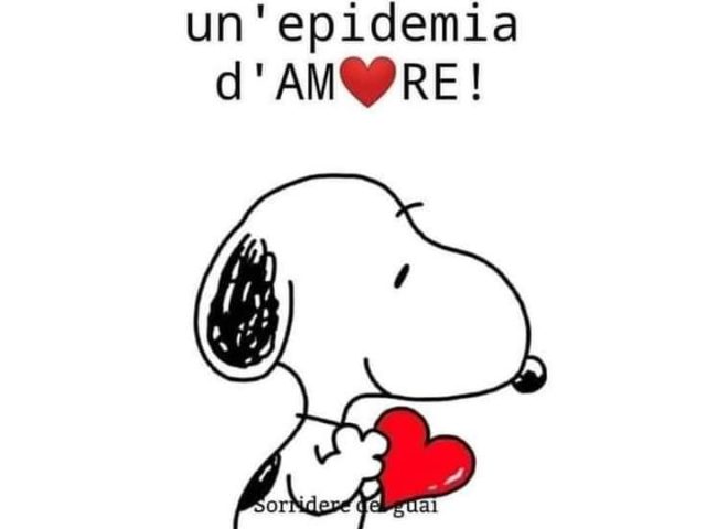 FB_IMG_1636894646566