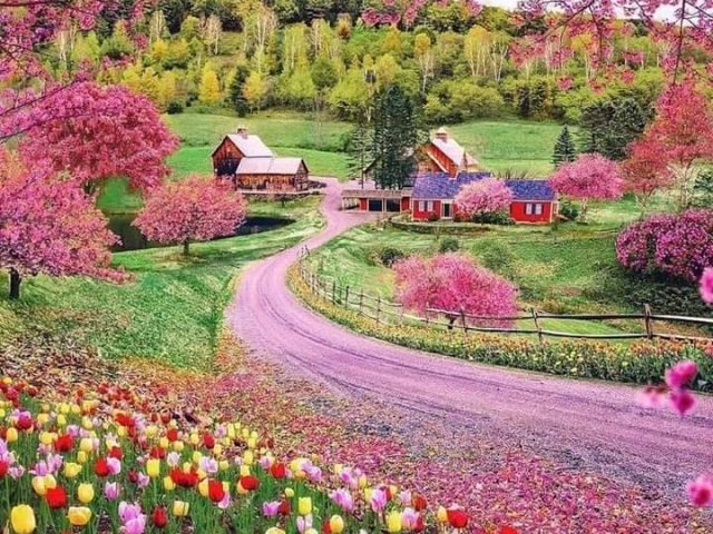 FB_IMG_1650147124370