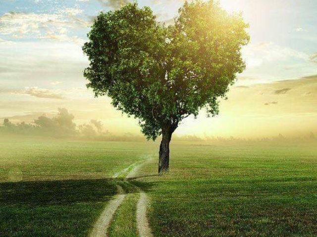 FB_IMG_1652789933831