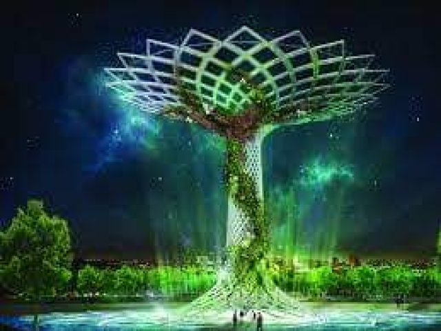 FB_IMG_1660980095365