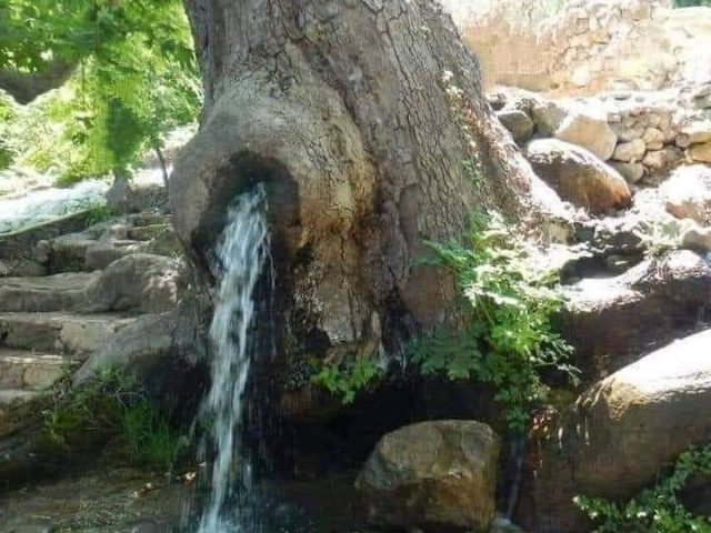 FB_IMG_1682023447341