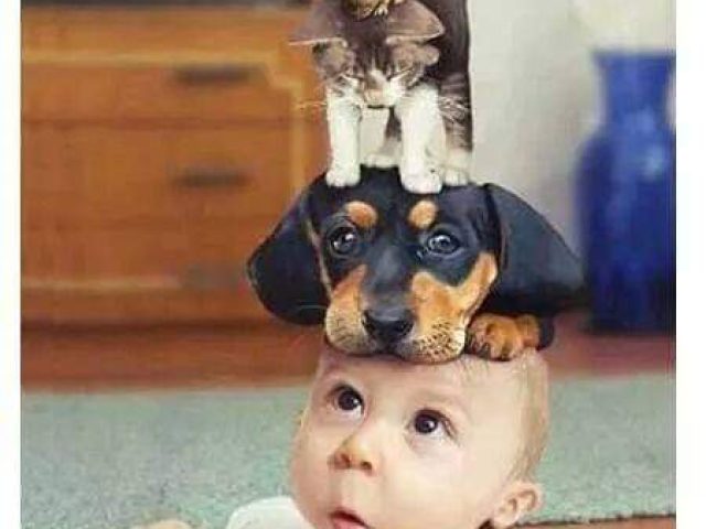 WhatsApp Image 2021-10-06 at 10.33.42 (6)